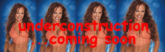 constructionbanner.jpg